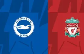 包含风云突变辽宁本钢加时末段状态回暖布莱顿扳平良机备战法国杯，罗马内部会议纪要流出——赛后回应争议看傻球迷的词条